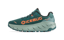 ARCUS 2 W RB9X GTX SEA MOSS CORAL